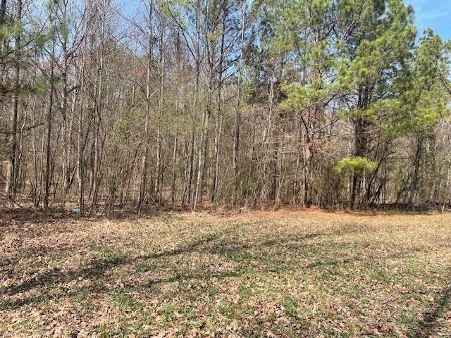 0 Se Johnson Road Property Photo 12