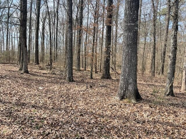 0 Se Johnson Road Property Photo 19