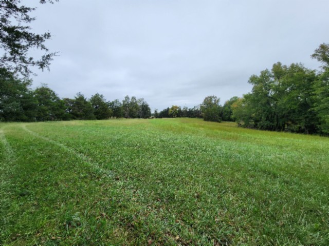 6 Clay County Hwy Property Photo 1