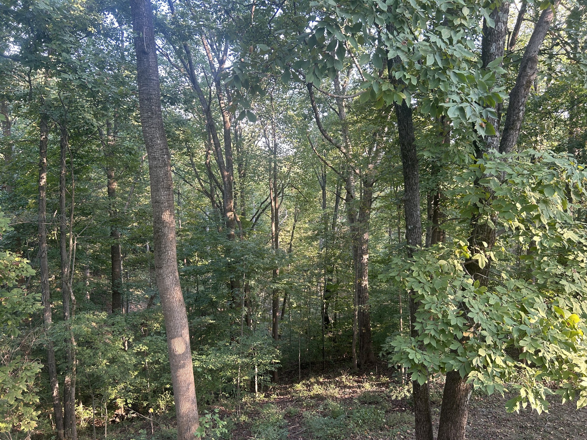 8465 Old Charlotte Pike Property Photo 7