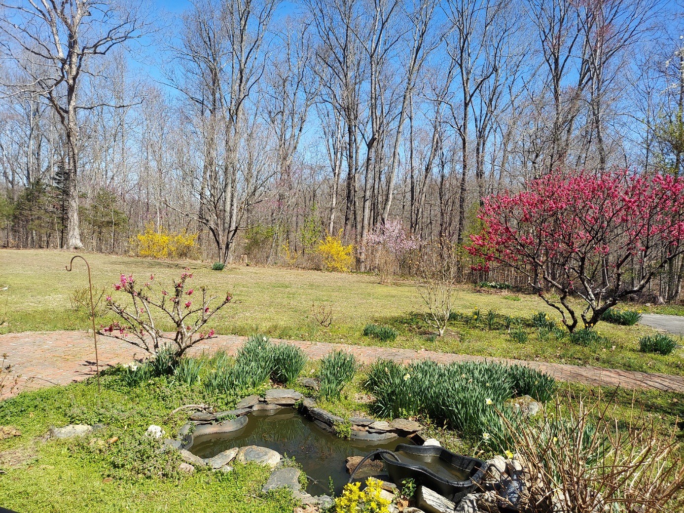 158 Gavlick Ln Property Photo 4