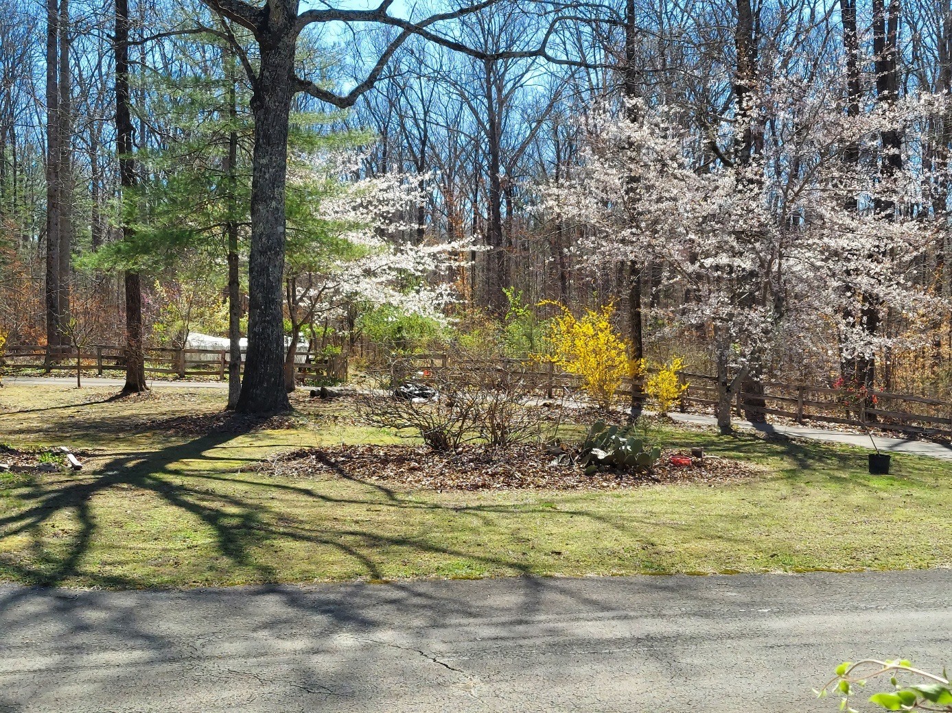 158 Gavlick Ln Property Photo 5
