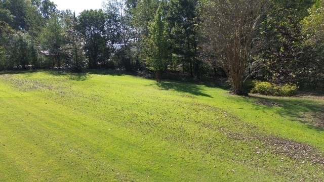 0 Sales Landing Rd Property Photo 2