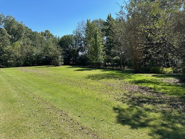 0 Sales Landing Rd Property Photo 3