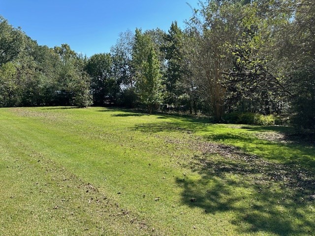 0 Sales Landing Rd Property Photo 4