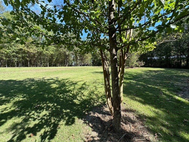 0 Sales Landing Rd Property Photo 6
