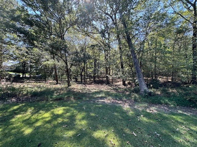 0 Sales Landing Rd Property Photo 8