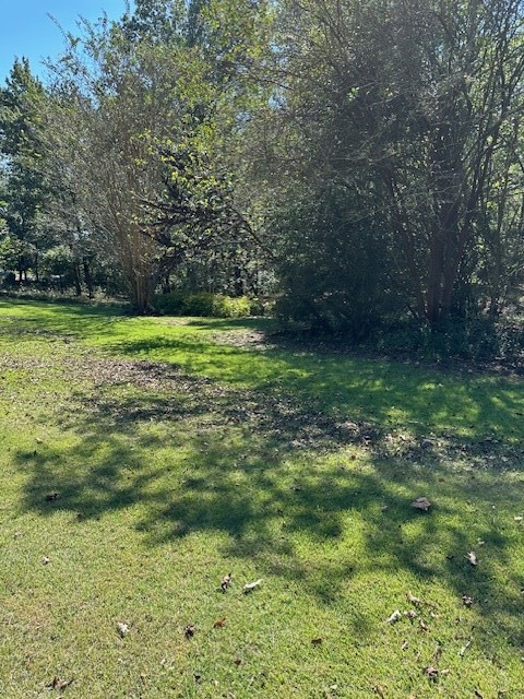 0 Sales Landing Rd Property Photo 9
