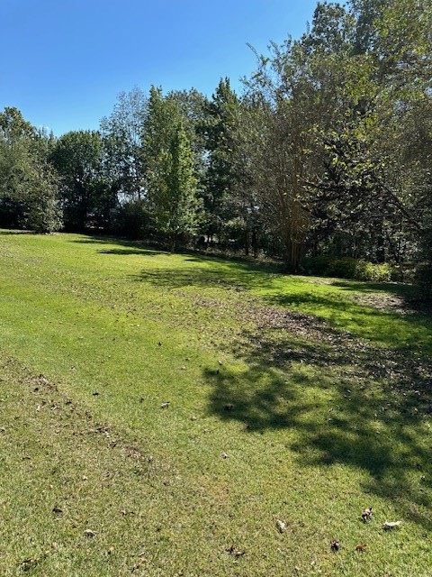 0 Sales Landing Rd Property Photo 10