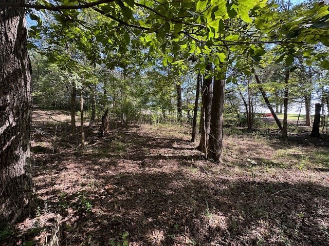 0 Sales Landing Rd Property Photo 12