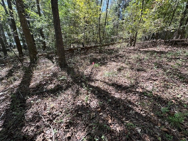 0 Sales Landing Rd Property Photo 13