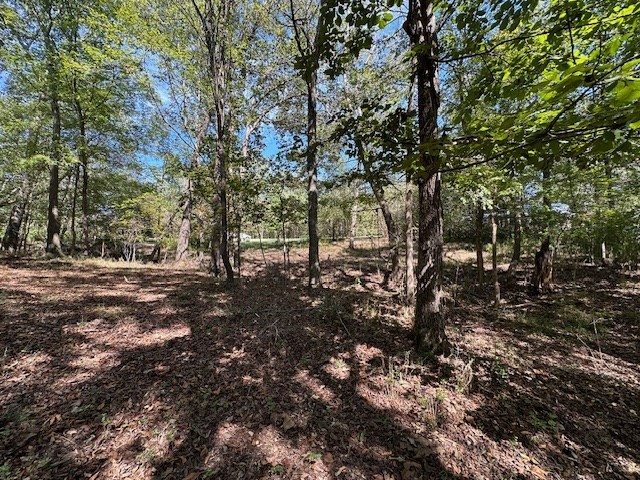 0 Sales Landing Rd Property Photo 14