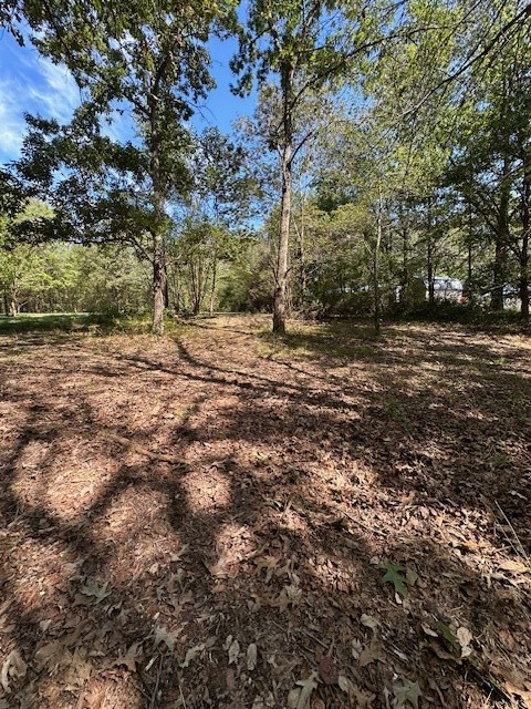 0 Sales Landing Rd Property Photo 15