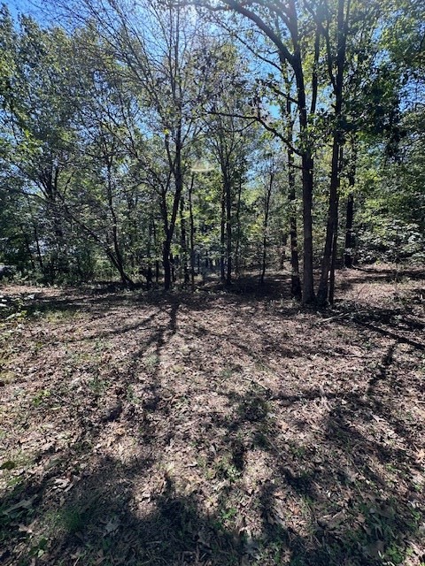0 Sales Landing Rd Property Photo 16