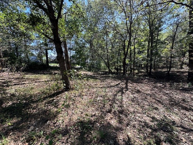 0 Sales Landing Rd Property Photo 17