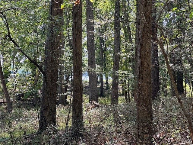 0 Sales Landing Rd Property Photo 18