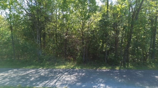 0 Sales Landing Rd Property Photo 2