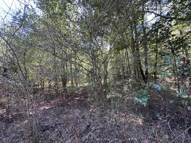 0 Sales Landing Rd Property Photo 8