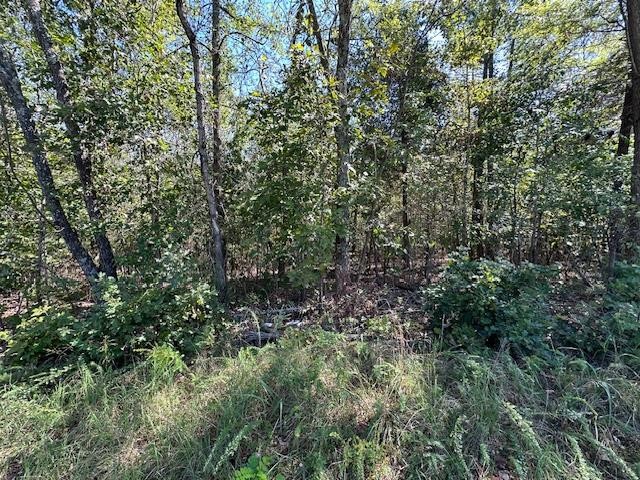0 Sales Landing Rd Property Photo 10