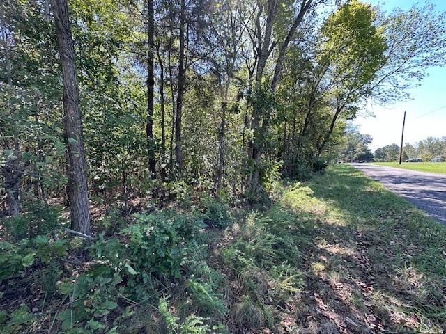 0 Sales Landing Rd Property Photo 12