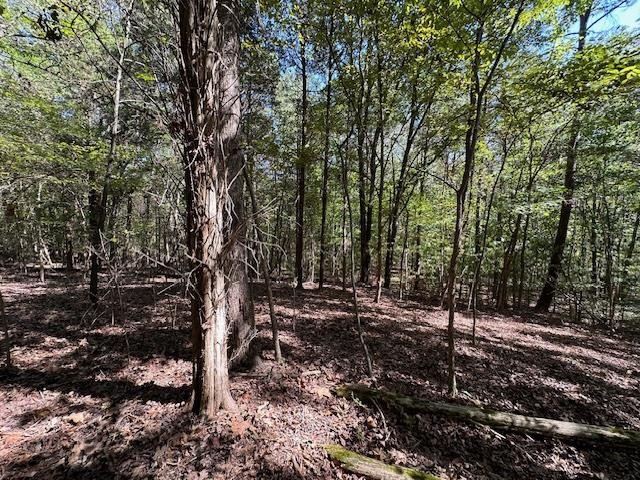 0 Sales Landing Rd Property Photo 21
