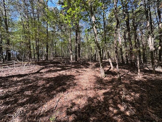 0 Sales Landing Rd Property Photo 26