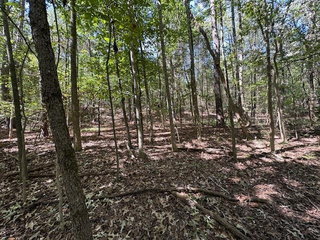 0 Sales Landing Rd Property Photo 28