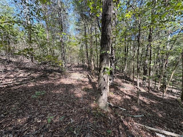 0 Sales Landing Rd Property Photo 31