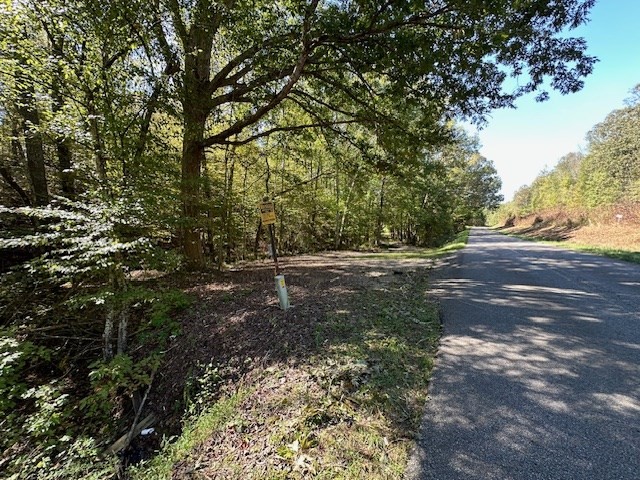0 Sales Landing Rd Property Photo 3