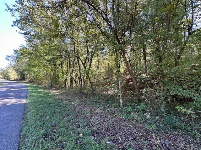 0 Sales Landing Rd Property Photo 4