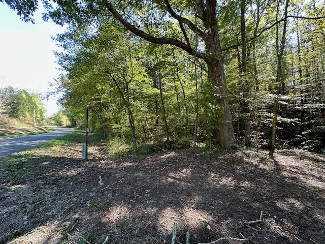 0 Sales Landing Rd Property Photo 5