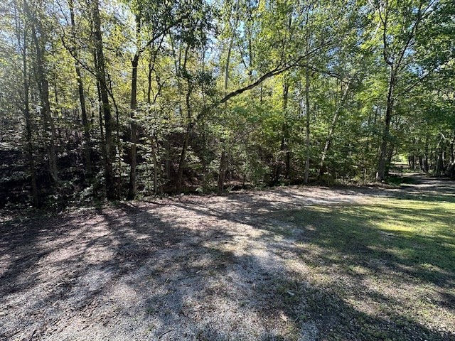 0 Sales Landing Rd Property Photo 6