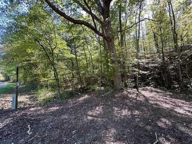 0 Sales Landing Rd Property Photo 8