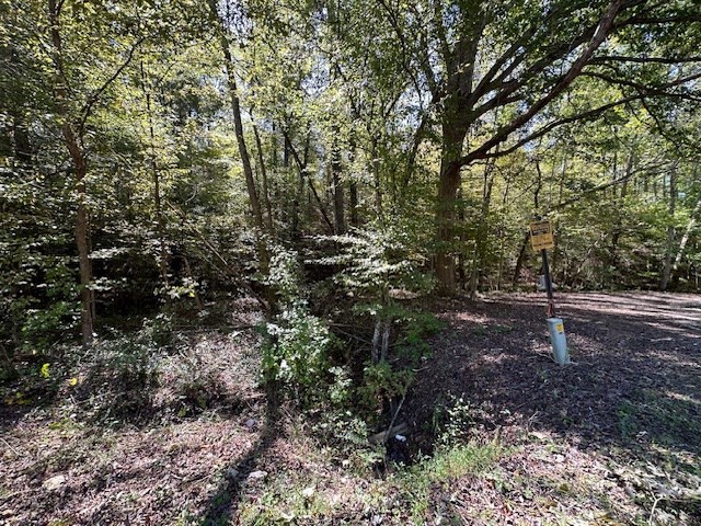 0 Sales Landing Rd Property Photo 9