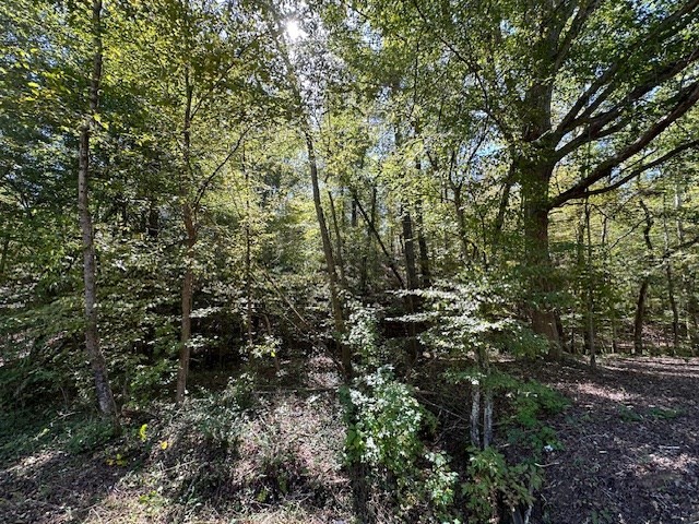 0 Sales Landing Rd Property Photo 10