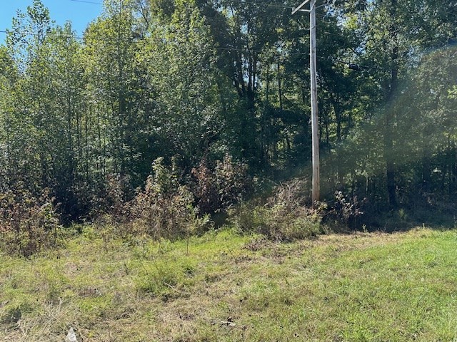 0 Sales Landing Rd Property Photo 12