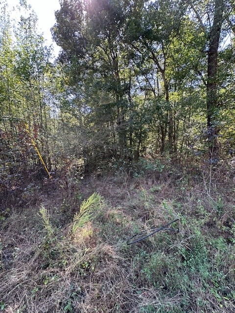 0 Sales Landing Rd Property Photo 13
