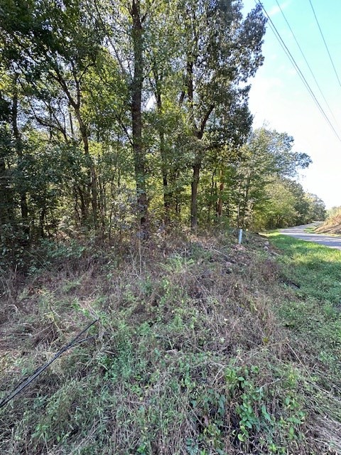 0 Sales Landing Rd Property Photo 14