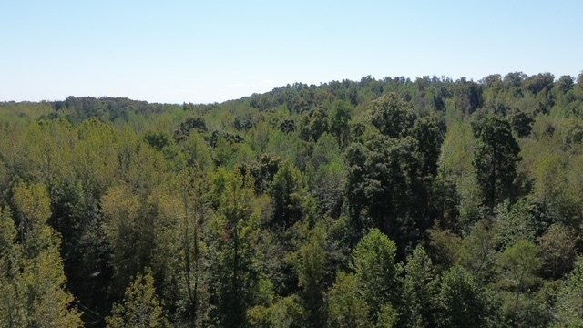 0 Sales Landing Rd Property Photo 15