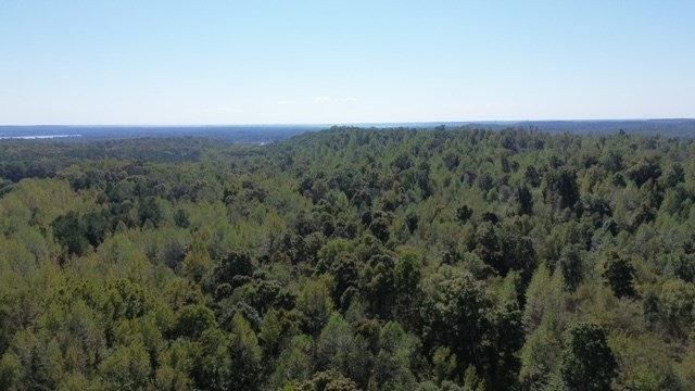 0 Sales Landing Rd Property Photo 16