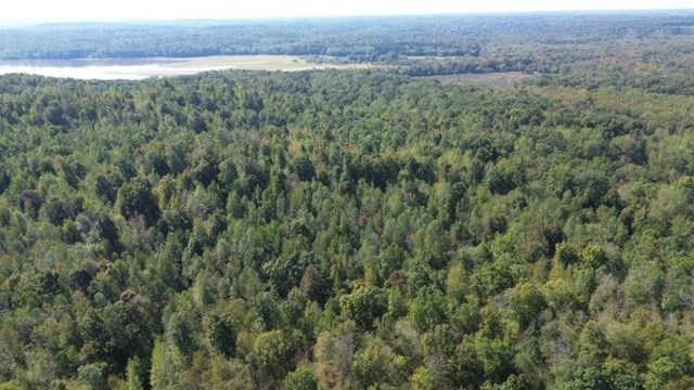 0 Sales Landing Rd Property Photo 18