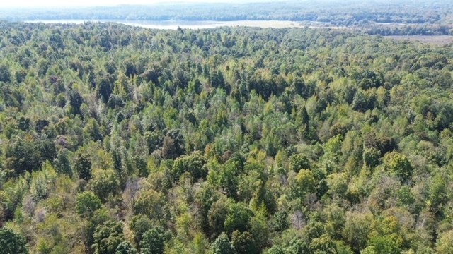 0 Sales Landing Rd Property Photo 20