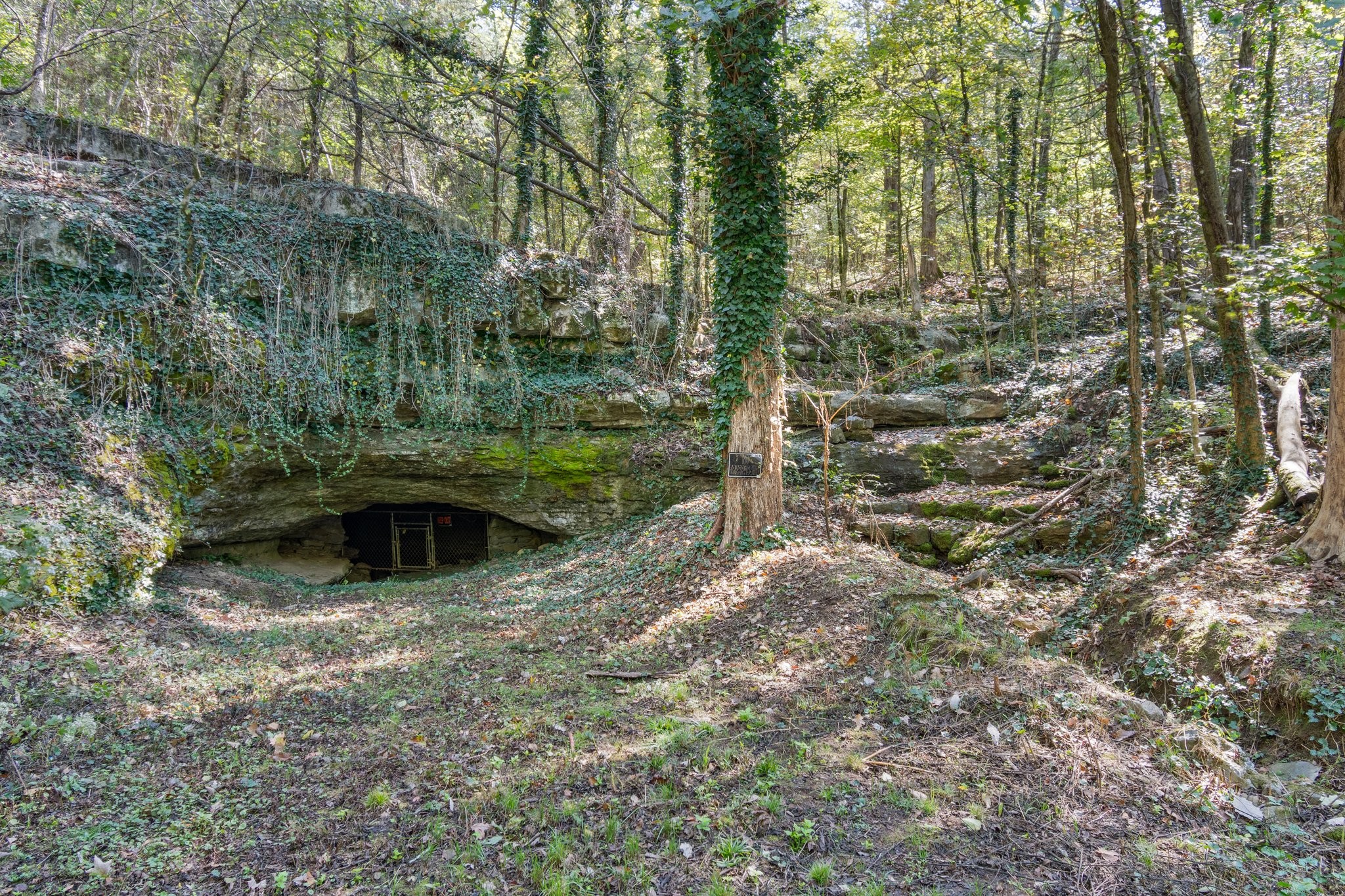1190 Flat Creek Highway Property Photo