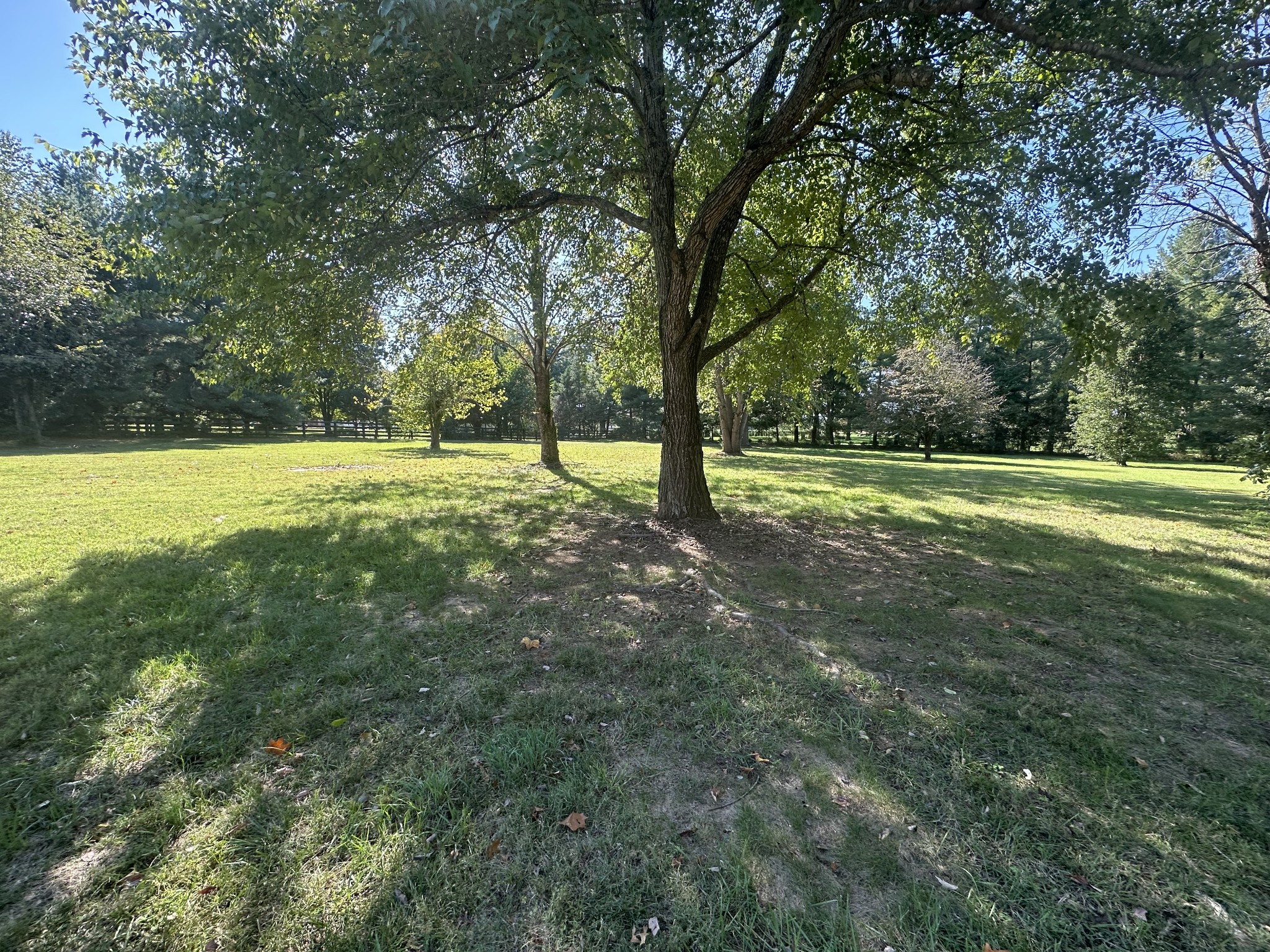2310 Black Fox Ct Property Photo 66