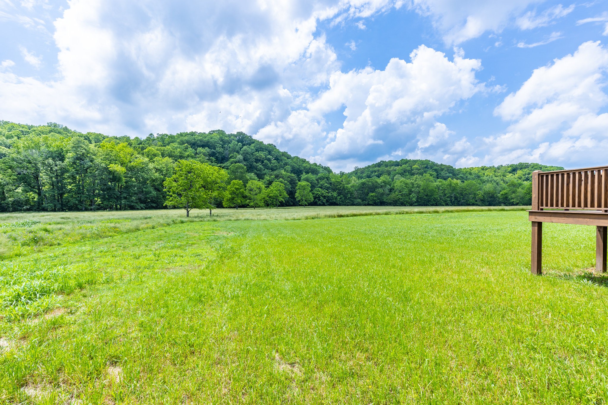 10890 Minor Hill Hwy Property Photo 25