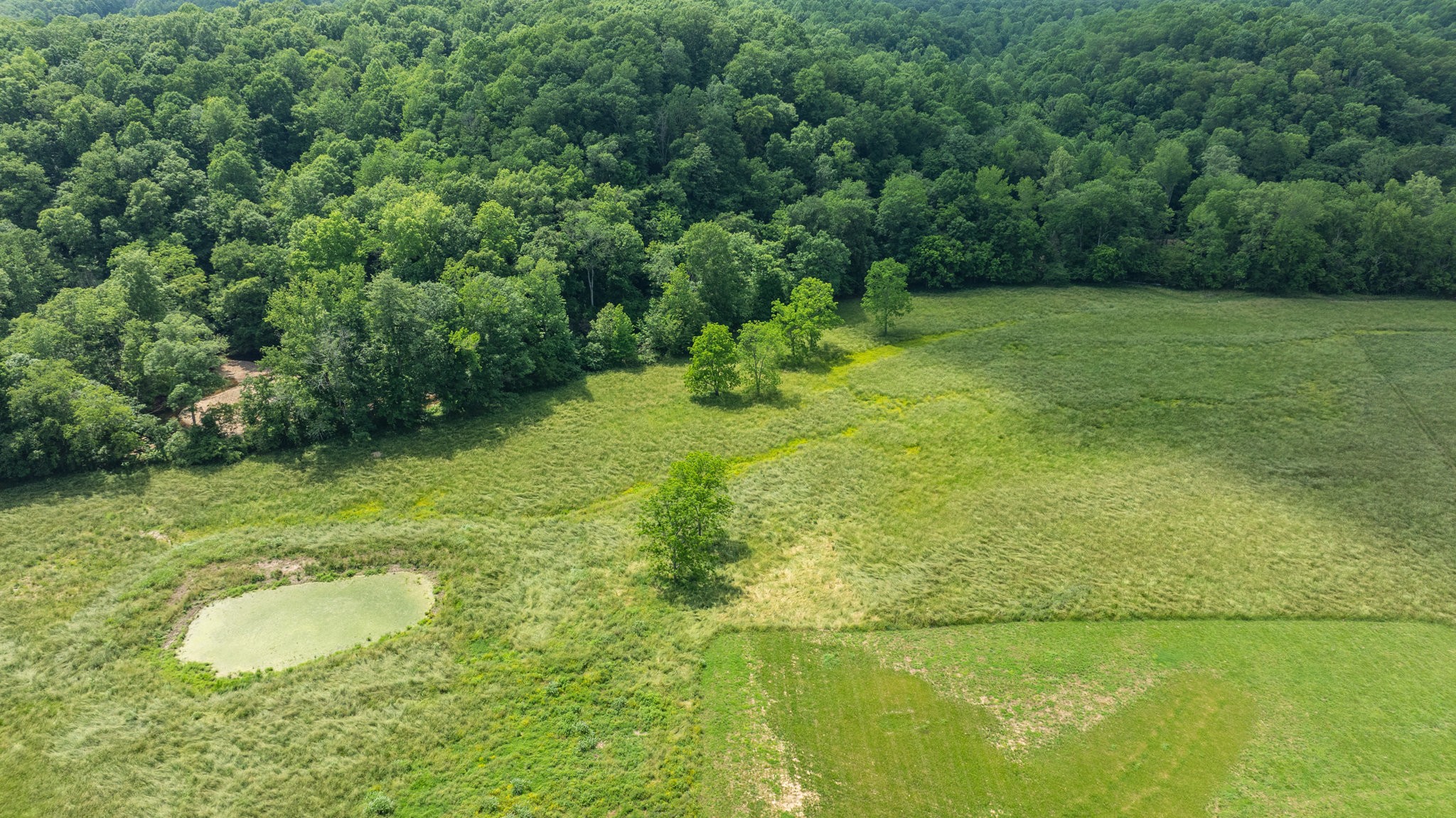 10890 Minor Hill Hwy Property Photo 30