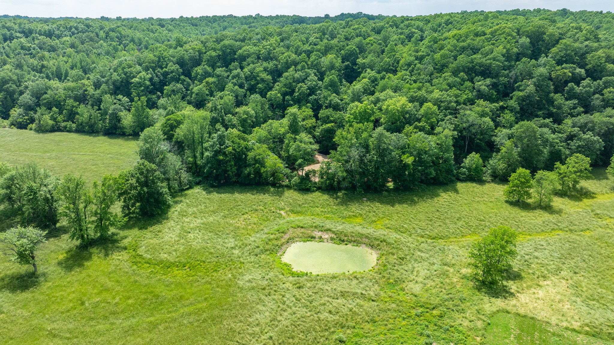 10890 Minor Hill Hwy Property Photo 31