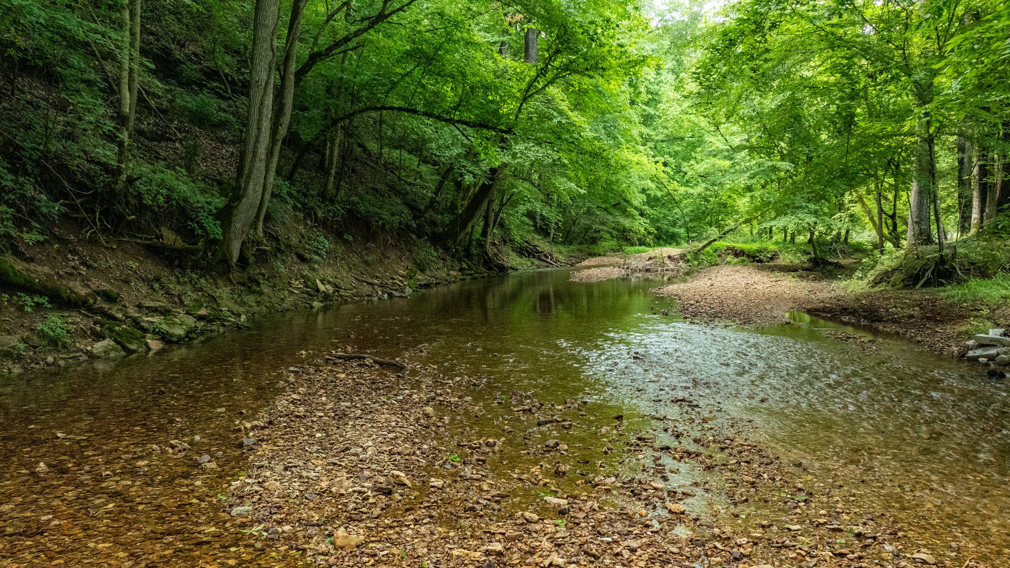 10890 Minor Hill Hwy Property Photo 47