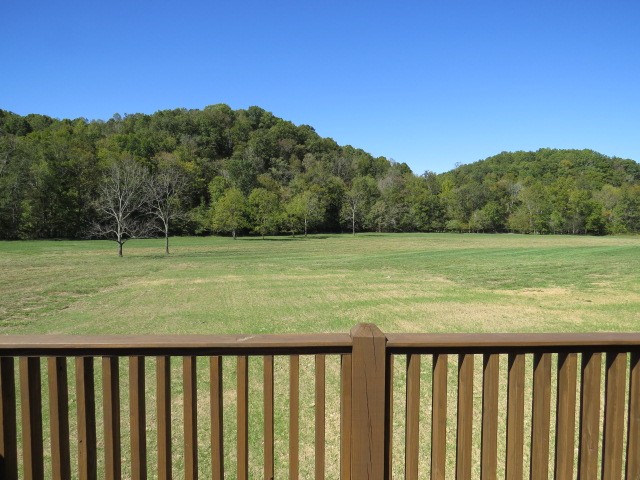 10890 Minor Hill Hwy Property Photo 51
