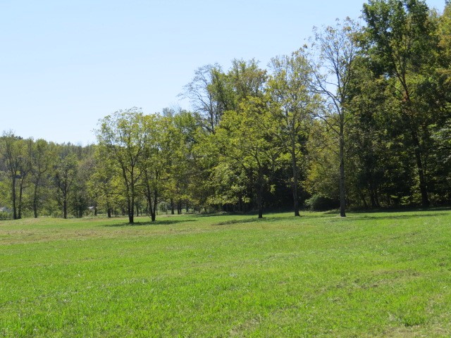 10890 Minor Hill Hwy Property Photo 52
